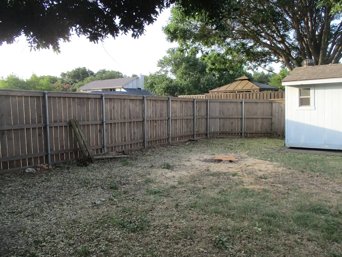 Cleared yard after professional tree removal in Jamul